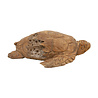 JoJo Living Teakhouten schildpad JoJo Living Teakhouten schildpad