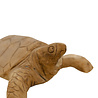 JoJo Living Teakhouten schildpad JoJo Living Teakhouten schildpad