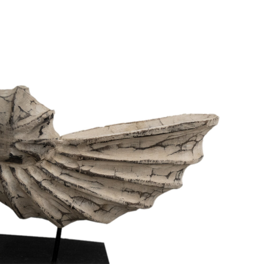 JoJo Living Suarhouten ornament witte schelp JoJo Living Suarhouten ornament witte schelp