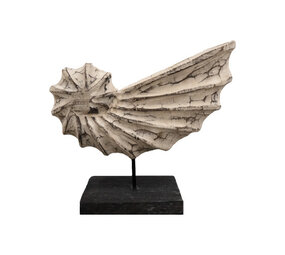 JoJo Living Suarhouten ornament witte schelp JoJo Living Suarhouten ornament witte schelp