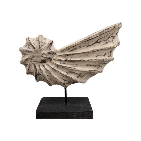 JoJo Living Suarhouten ornament witte schelp JoJo Living Suarhouten ornament witte schelp