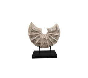 JoJo Living Suarhouten ornament halve schelp - diverse varianten JoJo Living Suarhouten ornament halve schelp - diverse varianten