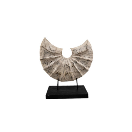 JoJo Living Suarhouten ornament halve schelp - diverse varianten JoJo Living Suarhouten ornament halve schelp - diverse varianten