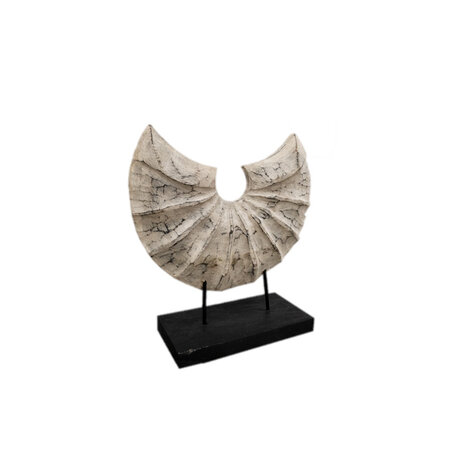 JoJo Living Suarhouten ornament halve schelp - diverse varianten JoJo Living Suarhouten ornament halve schelp - diverse varianten