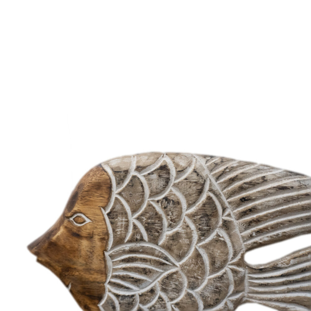 JoJo Living  Suarhouten vis Sherly