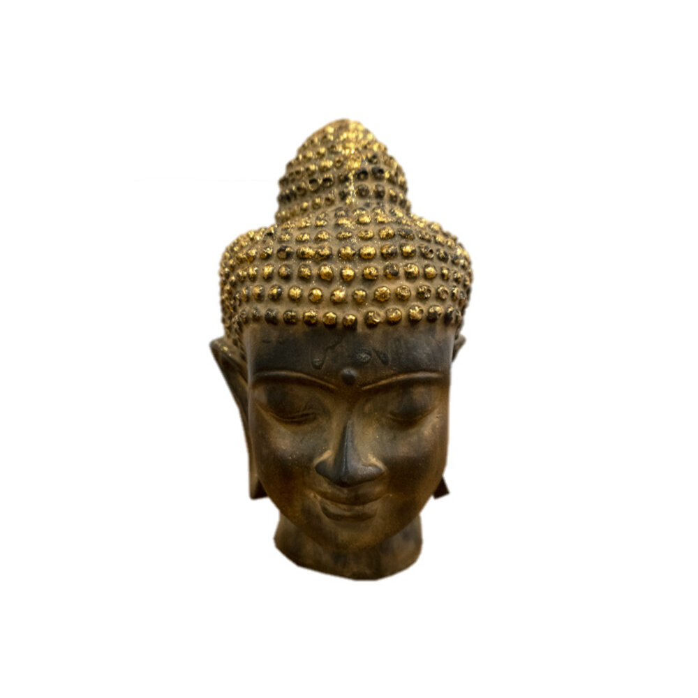 JoJo Living Resin Boeddha - diverse varianten JoJo Living Resin Boeddha - diverse varianten