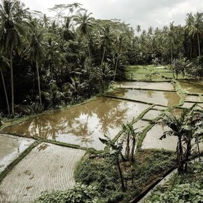 Groothandel webshopp