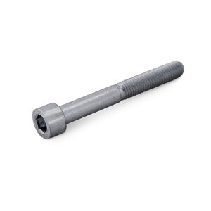 RVS inbusbout cilinderkop - M6 x 75 mm RVS inbusbout cilinderkop - M6 x 75 mm