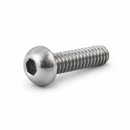 RVS bolkop inbusschroef - M5 - 12 mm - 10 stuks - laagbolkopschroef met binnenzeskant