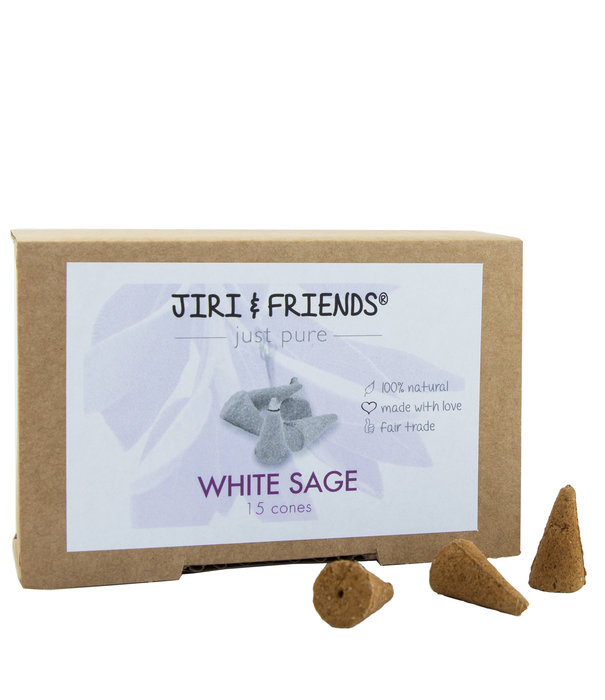 Witte Salie cones (Jiri and Friends)