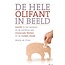 De hele olifant in beeld