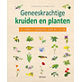 Geneeskrachtige kruiden en planten