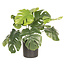 Clayre & Eef Decoratie plant Monstera Deliciosa