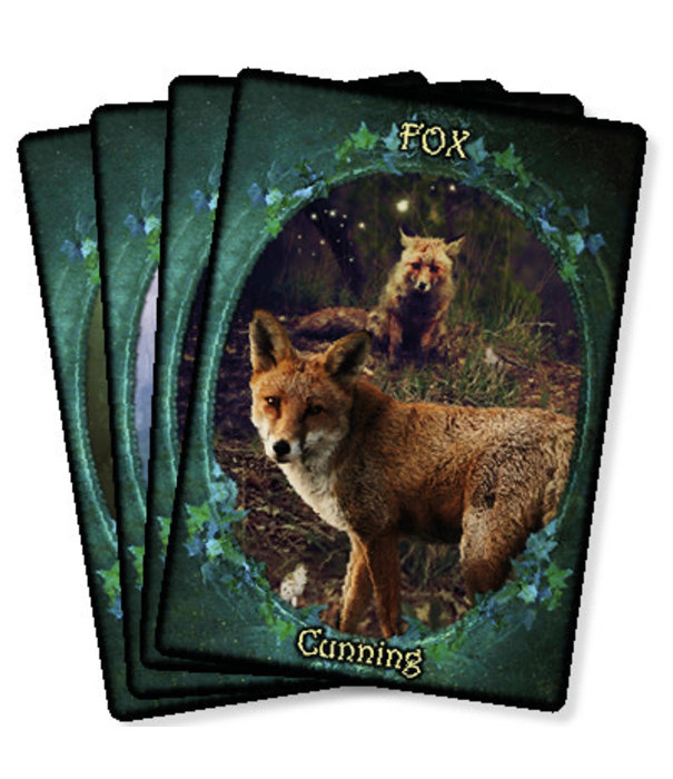 Witches' Familiars Oracle Cards