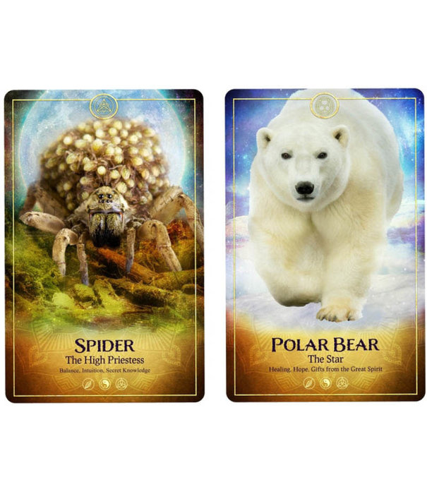 The Ark Animal Tarot & Oracle Cards Deck (2nd Edition)