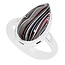 Zilveren ring Fordiet