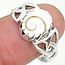 Zilveren ring Shiva Eye