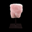 Rozenkwarts op standaard 3