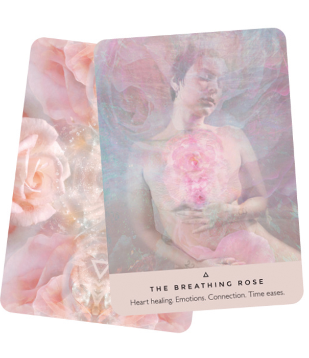 The Rose Oracle