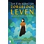Zen & de kunst van zorgeloos leven