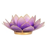 Lotus sfeerlicht violet goudrand *