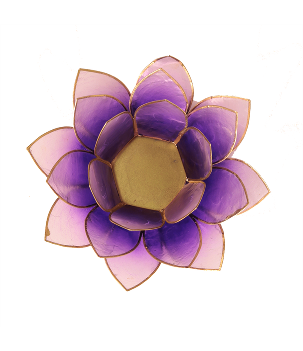 Lotus sfeerlicht violet goudrand *