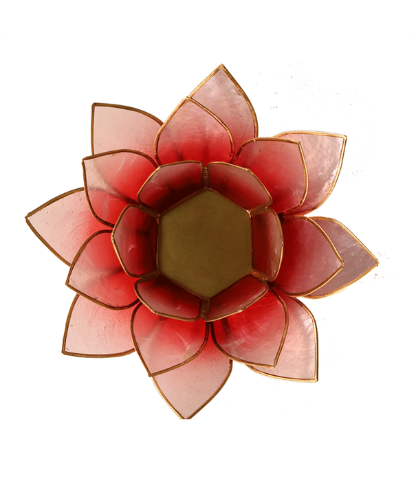 Lotus sfeerlicht rood/roze goudrand