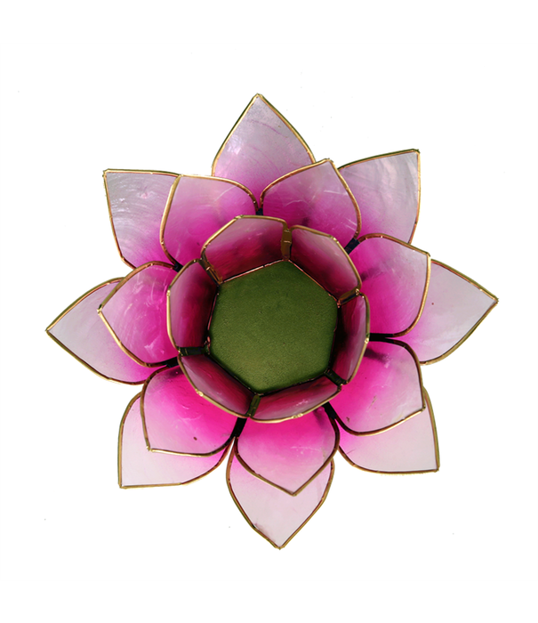 Lotus sfeerlicht roze/lichtroze goudrand