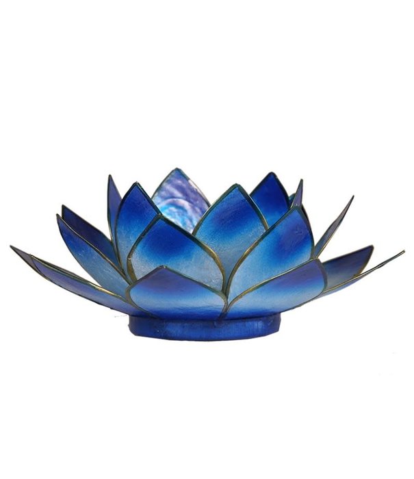 Lotus sfeerlicht blauw 2-kleurig*