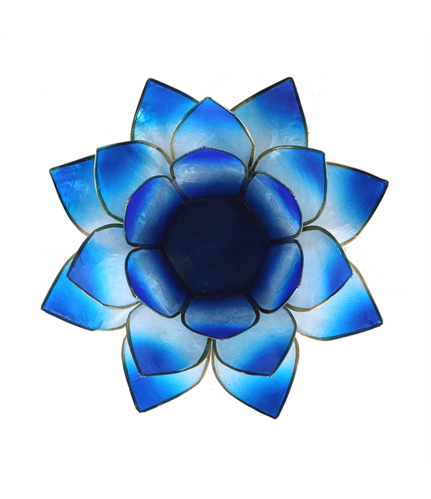 Lotus sfeerlicht blauw 2-kleurig*