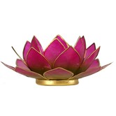 Lotus sfeerlicht groen/roze 2-kleurig