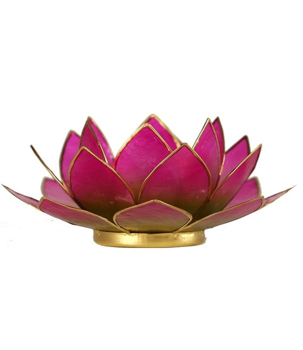 Lotus sfeerlicht groen/roze 2-kleurig