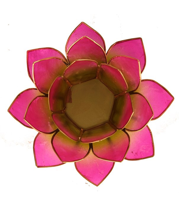 Lotus sfeerlicht groen/roze 2-kleurig