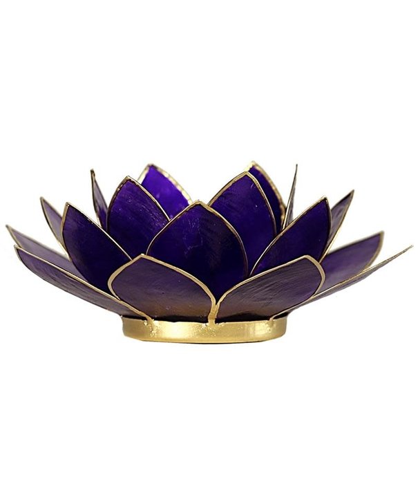 Lotus sfeerlicht violet 7e chakra goudrand