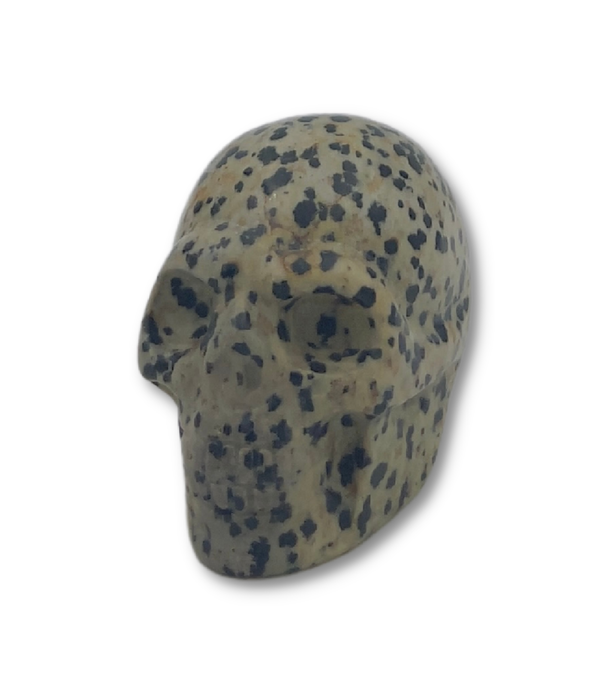 Skull Jaspis Dalmatiër
