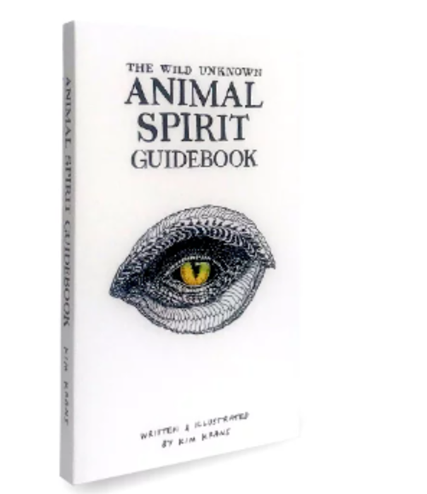 The wild unknown animal spirit deck and guidebook