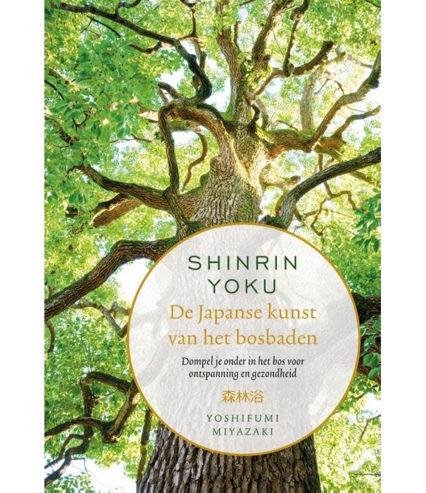 Shinrin-yoku - De Japanse kunst van het bosbaden