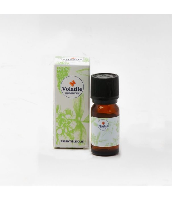 Salie officinalis  olie 10ml - Volatile