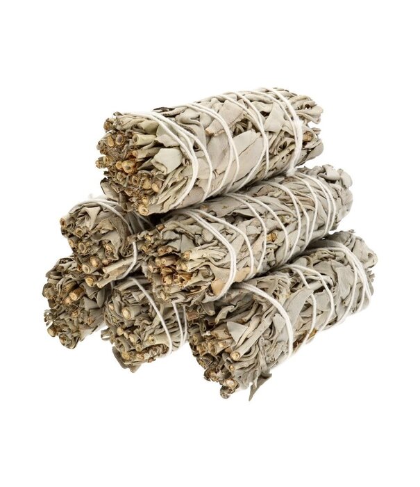 Salie Smudge stick  35 gram