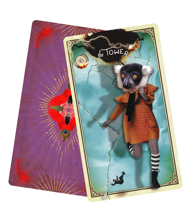 The Tarot of Curious Creatures