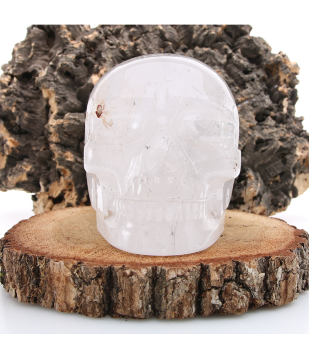 Bergkristal Skull