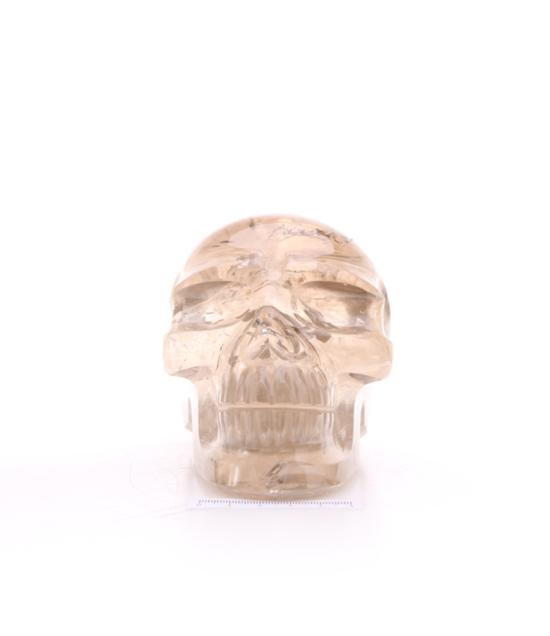 Rookkwarts Skull