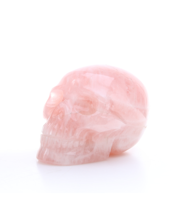Rozenkwarts Skull