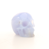 Chalcedoon Skull