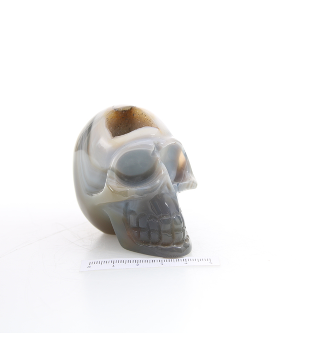 Agaat Skull