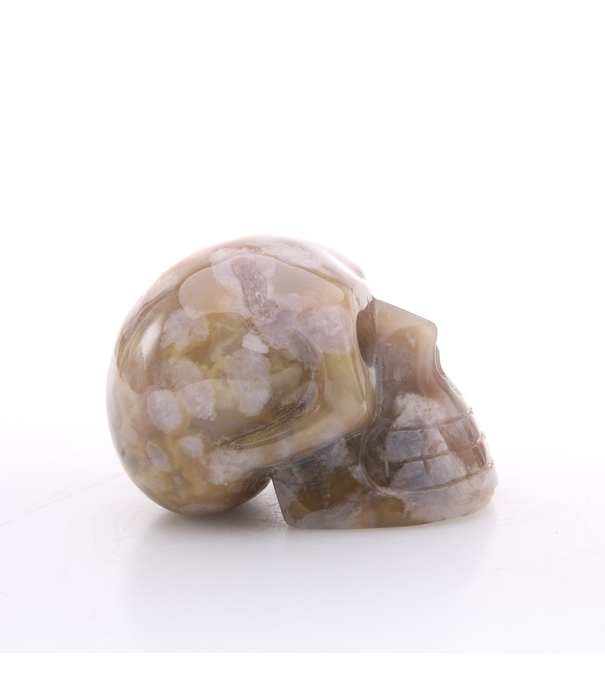 Agaat Bloem Skull