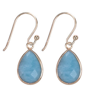 Zilveren oorbellen Larimar Gold Plated