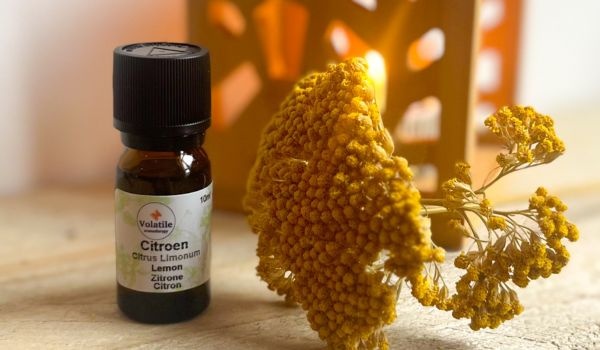 Aromatherapie: zo gebruik je etherische oliën