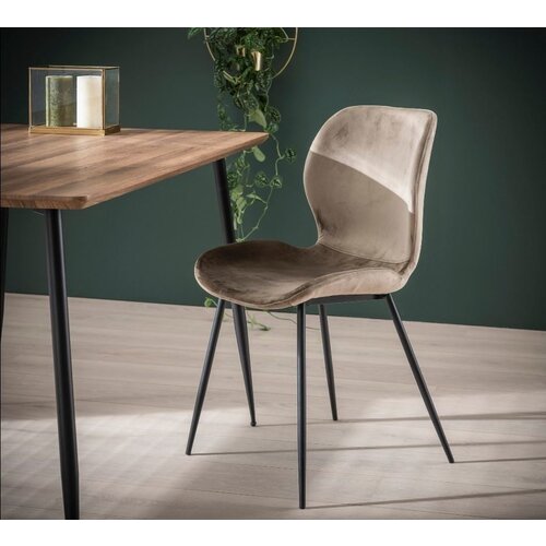 4er-Set Shawn Esszimmerstuhl Industrial Samt Champagner 4er-Set Shawn Esszimmerstuhl Industrial Samt Champagner