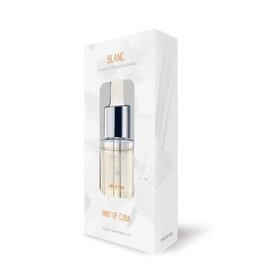 Mr & Mrs Fragrance Mr & Mrs Blanc Aromatic Hydro Oil – Mint of Cuba
